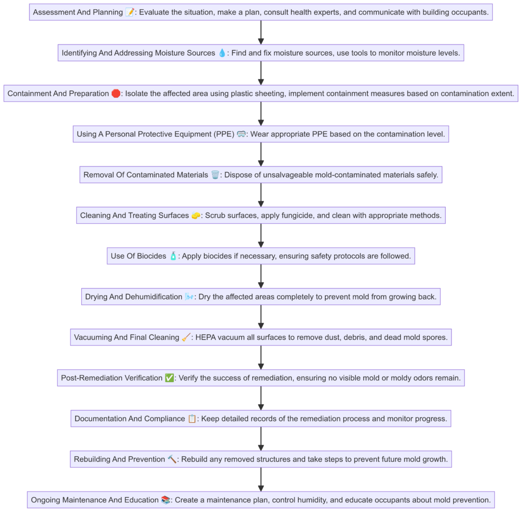 mold remediation process flow diagram