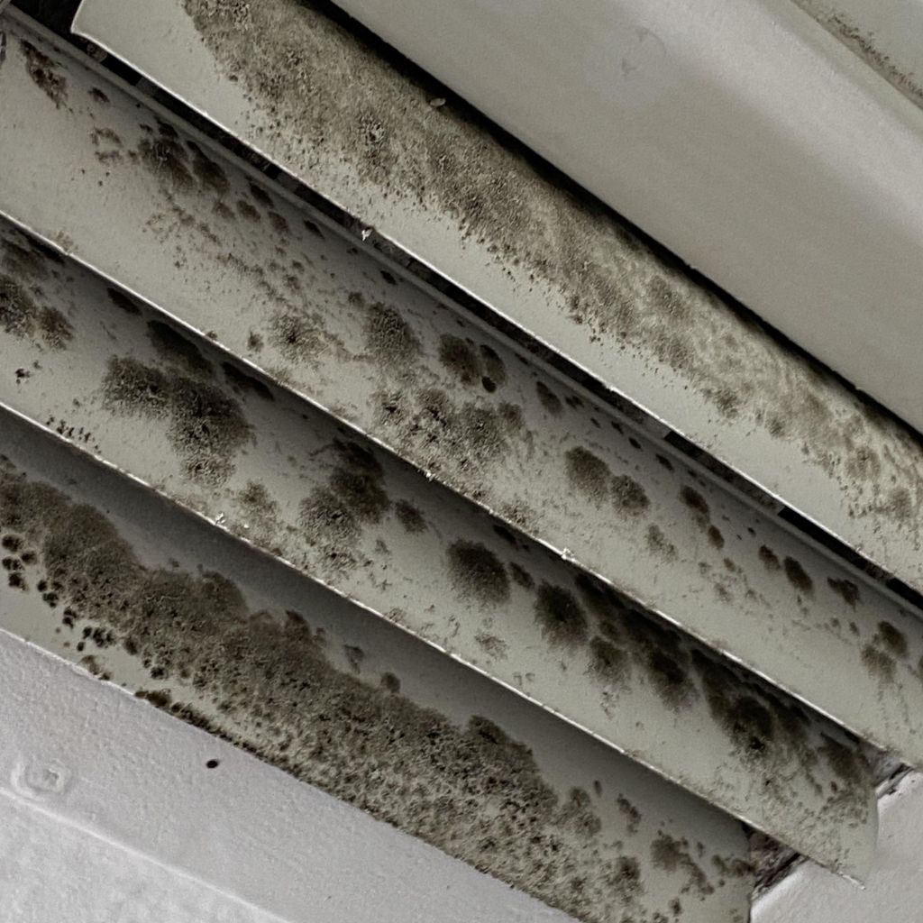 mold in air duct picture 1