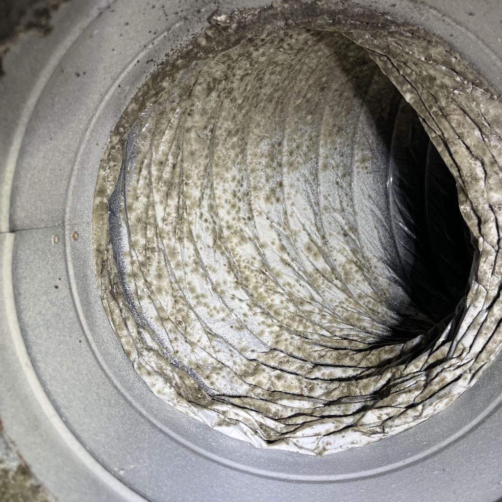 mold in air duct picture 2