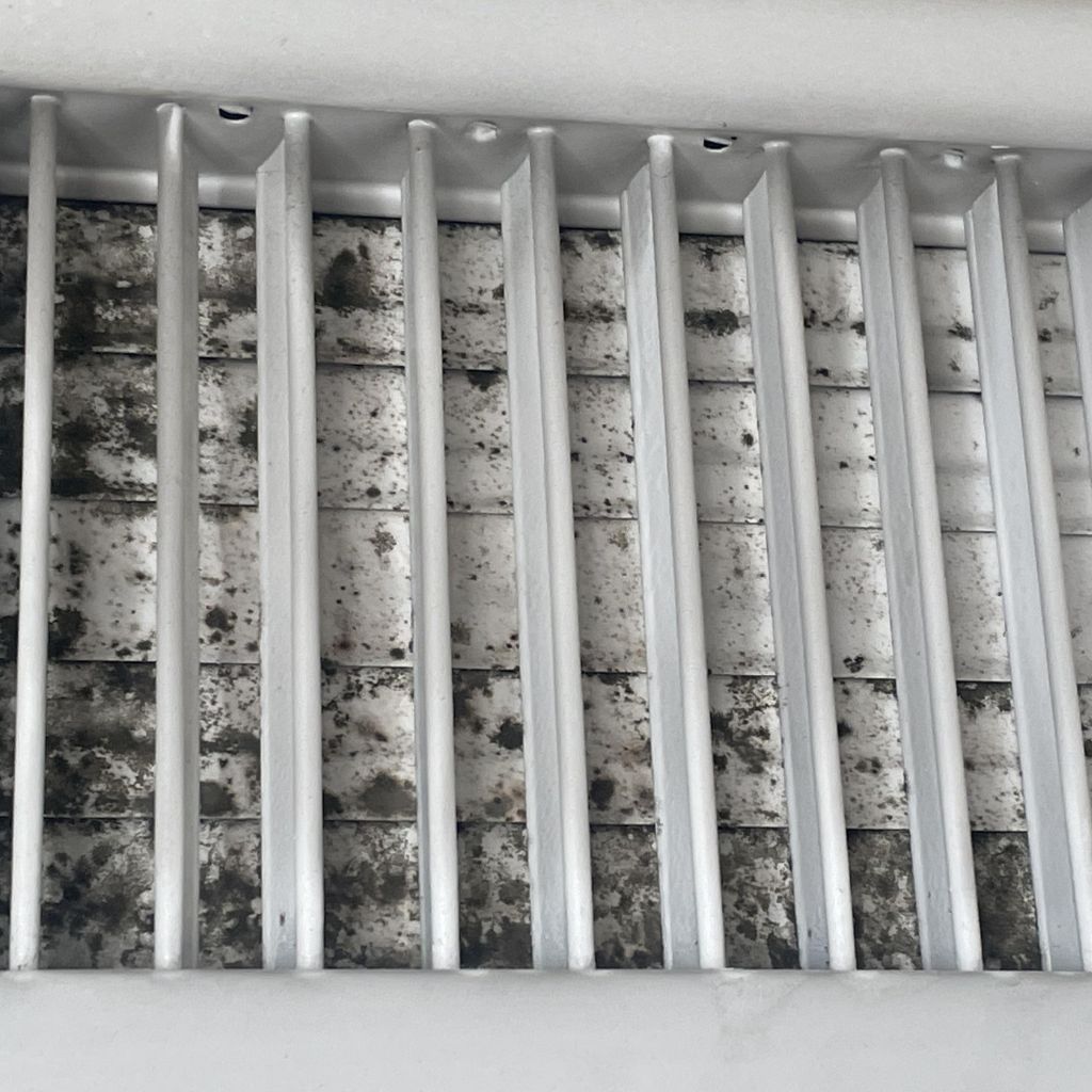 mold in air duct picture 3