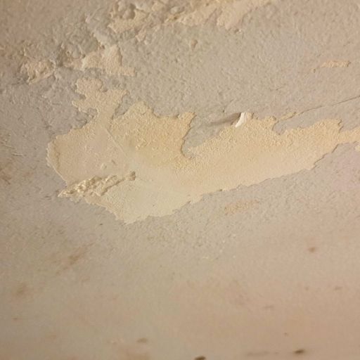 flaky paint due to mold