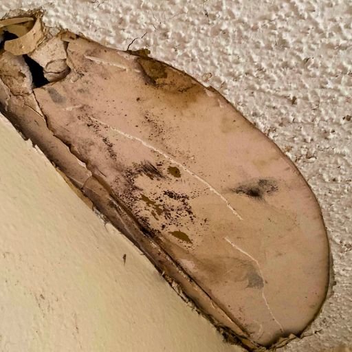 pitted hole in paint due to mold