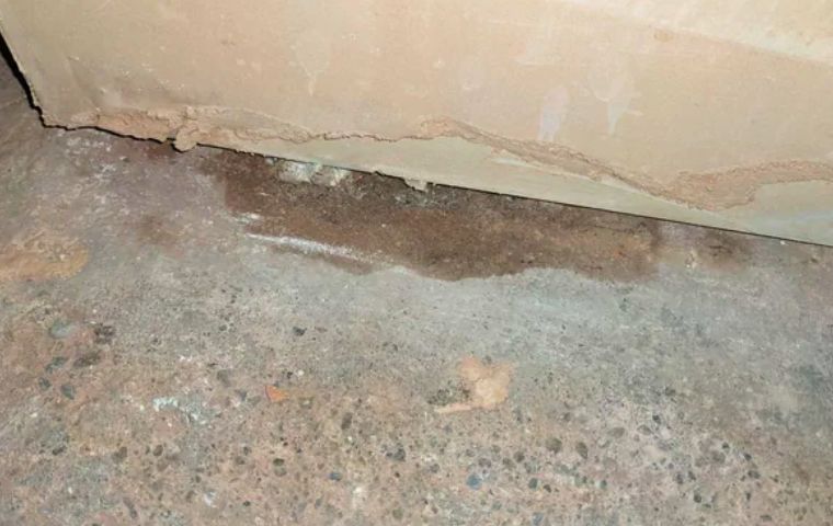 drywall absorbs moisture if concrete floor is without damp proof insulation