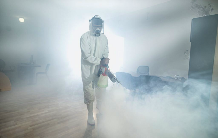 does fogging for mold work