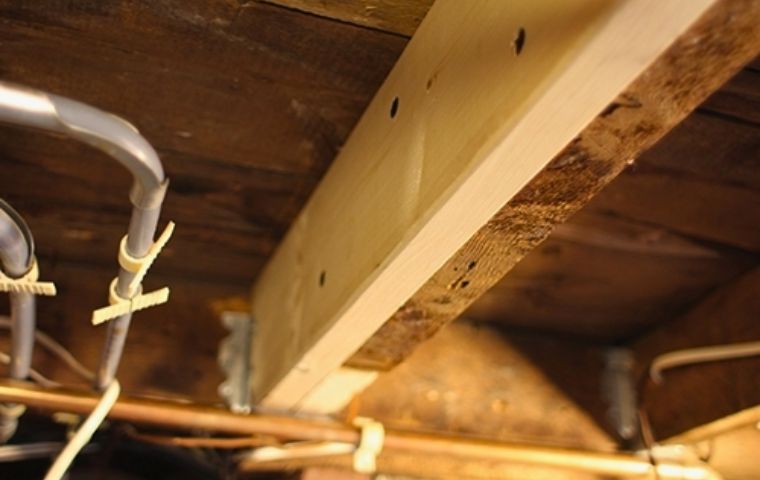 using sistered joists to strengthen weak moldy joists