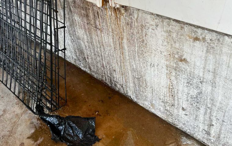 water puddle in garage due to plumbing leak